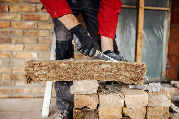 Best Home Insulation Services  in Spring, TX